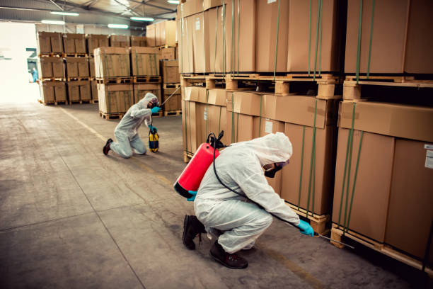 Best Cockroach Control Services  in Gerber, CA