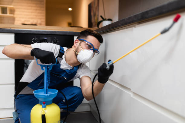 Best Termite Control Services  in Gerber, CA