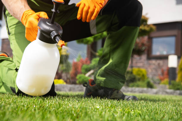 Best Residential Pest Control  in Gerber, CA