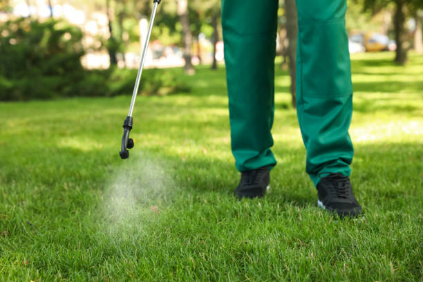 Best Wasp Removal Services  in Gerber, CA