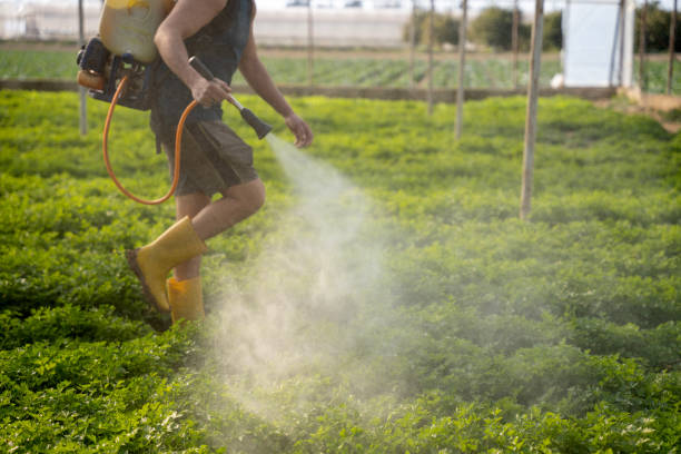 Best Wildlife Control Services  in Gerber, CA