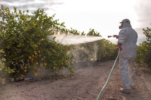 Best Pest Prevention Services  in Gerber, CA