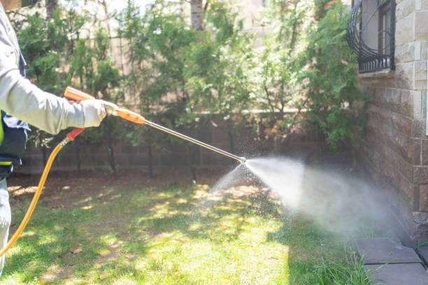 Best Mosquito Control Services  in Gerber, CA