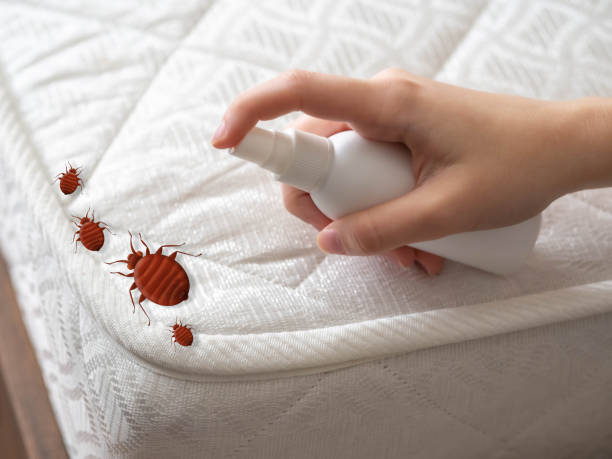 Gerber, CA Pest Control Company