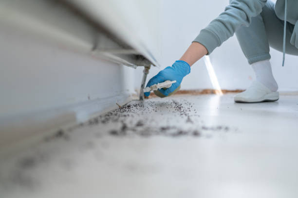 Pest Control Cost in Gerber, CA